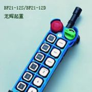 �_�����������b����-BF21-12D/BF21-12S Yuding explosion proofremote controller