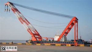 ��������������޽��O(sh��)����(g��)�������wͣ܇��